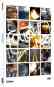 Follow Me - Anthill Films DVD + Blu Ray 
